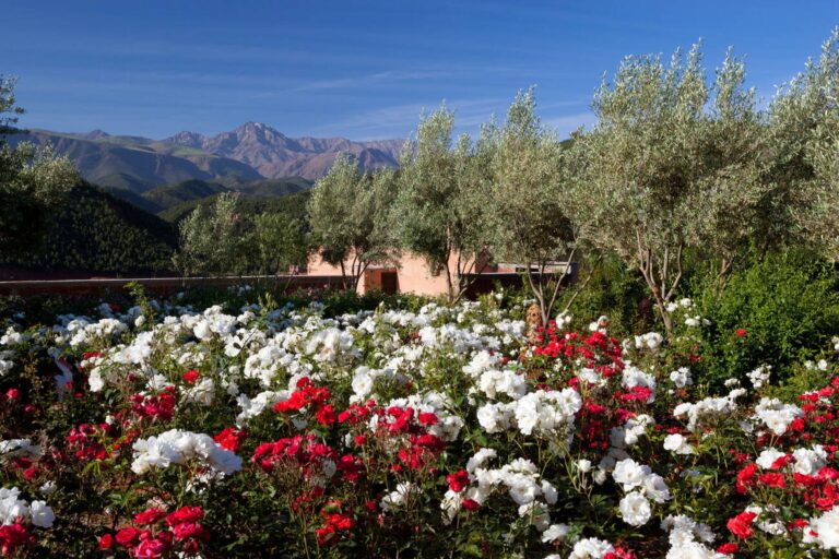 Itinéraire Marrakech