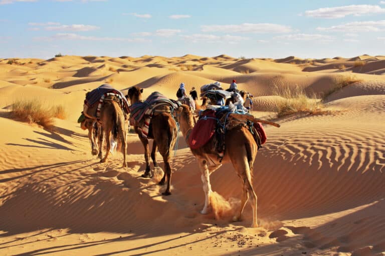 De Fez à l’Aventure dans le Désert du Sahara